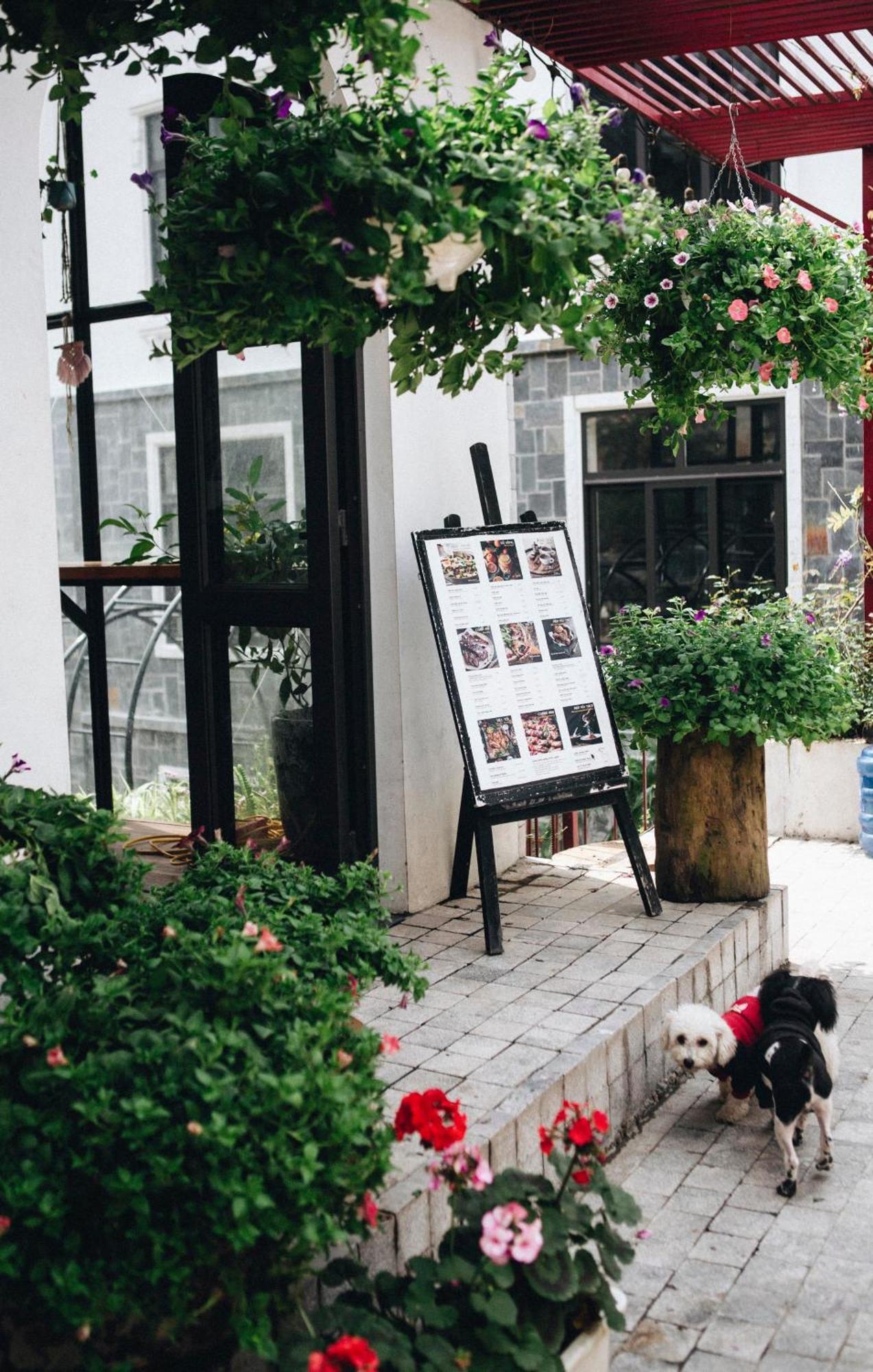 Le Vent Tam Dao Homestay Exterior foto